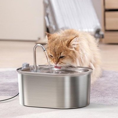 chat qui boit dans fontaine a eau chat couleur grise