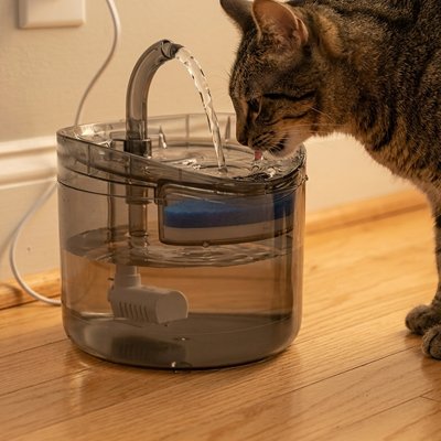 chat qui boit dans fontaine a eau pour chat circulaire