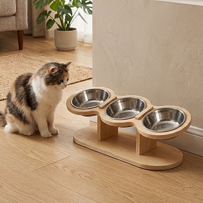 chat regardant dans gamelle chat surelevee en bois configuration triple bols inox