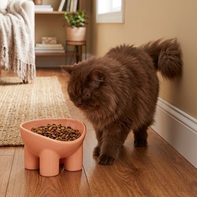 chat regardant gamelle chat anti chute couleur rose dans salon