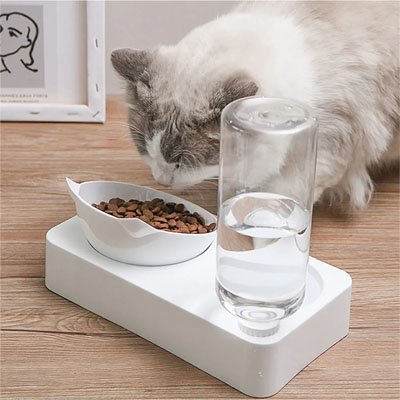 chat regardant nourriture dans gamelle chat double compartiment couleur blanche