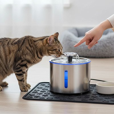 chat regarde fontaine a eau chat en acier et led