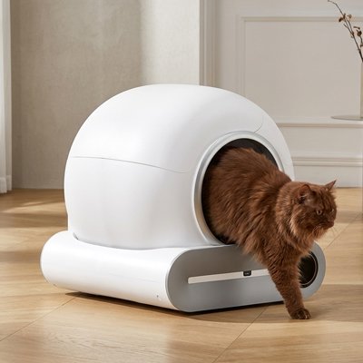 chat sortant bac litière chat intelligent blanc