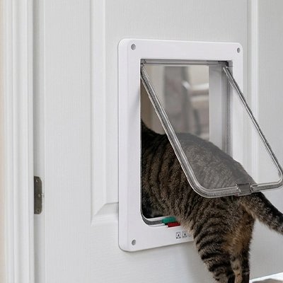 chatière blanche chat sortant