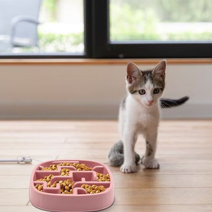 chaton avec gamelle anti glouton chat ludique rose