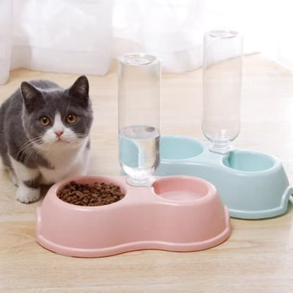 chaton avec gamelle chat coloris pastel rose et bleu