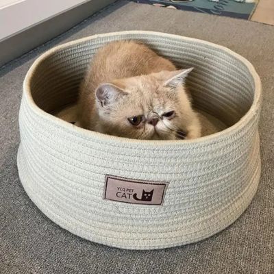 chaton panier grattoir corde coton beige