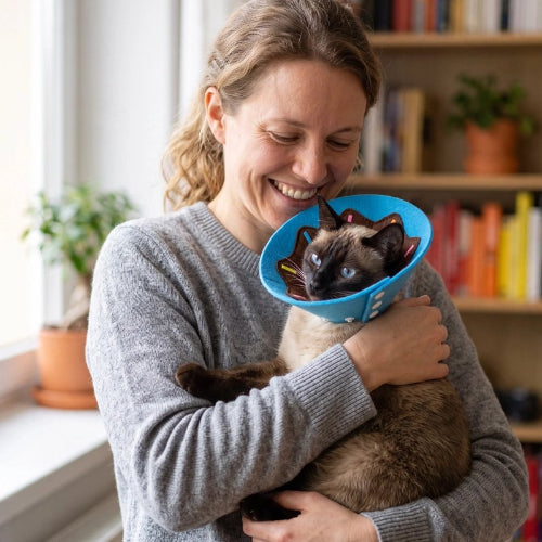collerette chat bordure bleue maitresse souriante