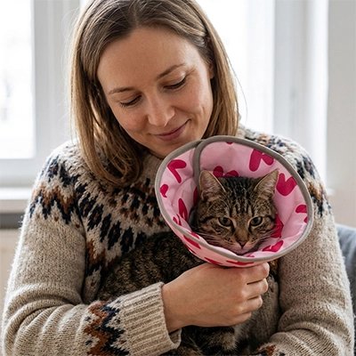 collerette chat rose motifs decoratifs maitresse