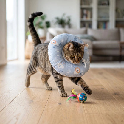 collerette chat souple bleu chat jouant