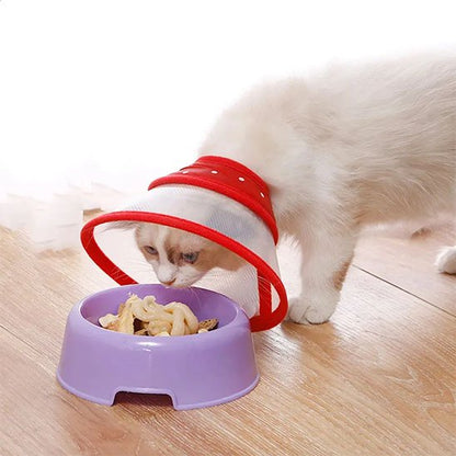 collerette chat transparente rouge
