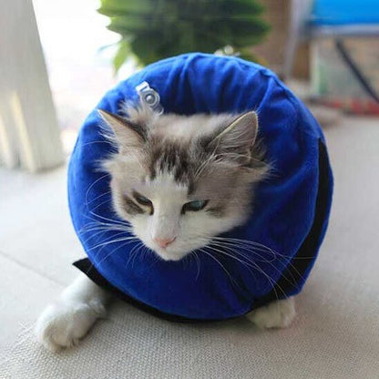 collerette gonflable bleue chat salon