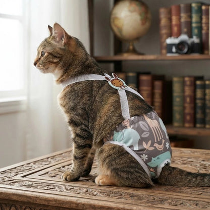 couche pour chat gris chat assis