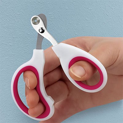 coupe griffe chat bicolore blanc rose