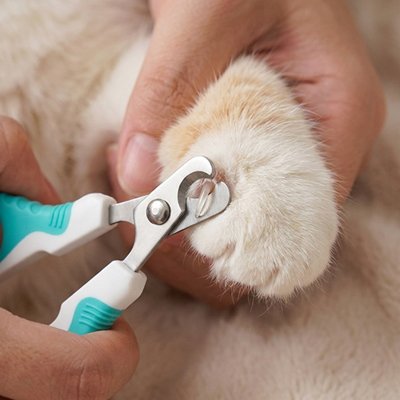 coupe griffe chat bleu blanc acier inoxydable patte