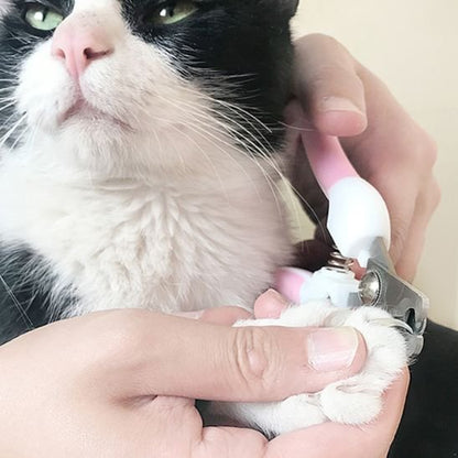 coupe griffe chat efficace rose blanc patte chat