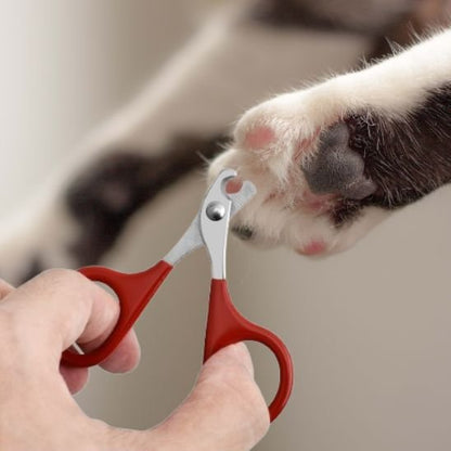 coupe griffe chat leger rouge patte chat