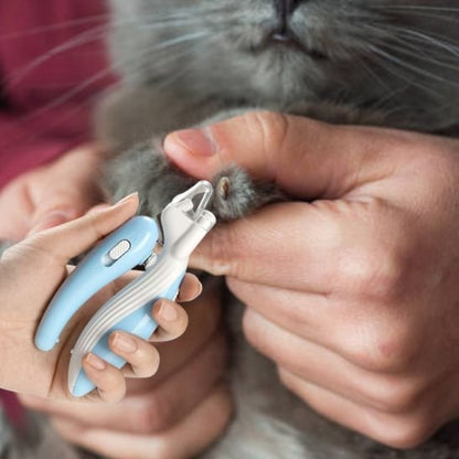 coupe griffe chat maniable bleu blanc patte chat gris