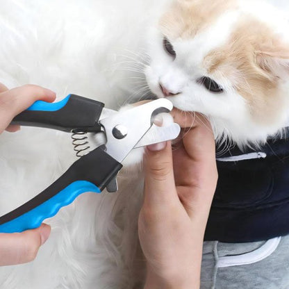 coupe griffe chat robuste main