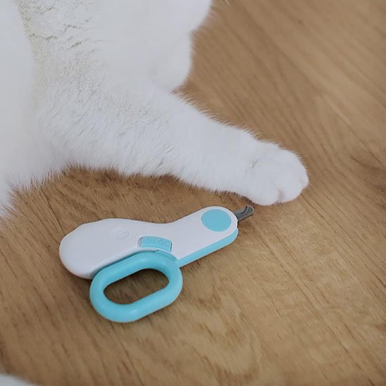 coupe griffe chat securise bleu blanc patte chat