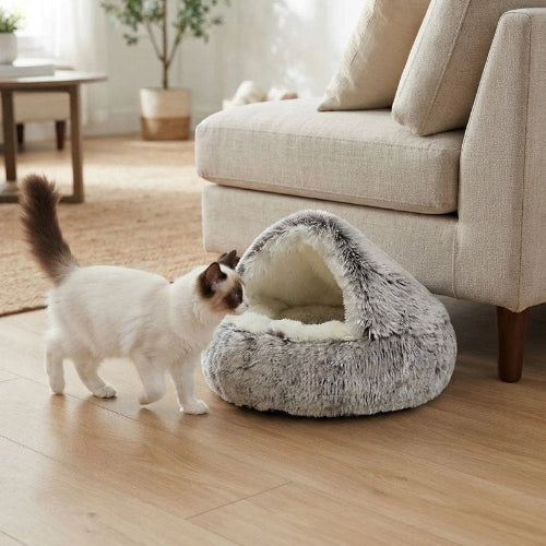 coussin à chat gris avec chat debout salon