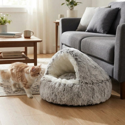 coussin à chat gris avec chat marchant salon
