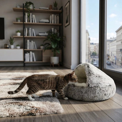 coussin à chat gris avec chat salon