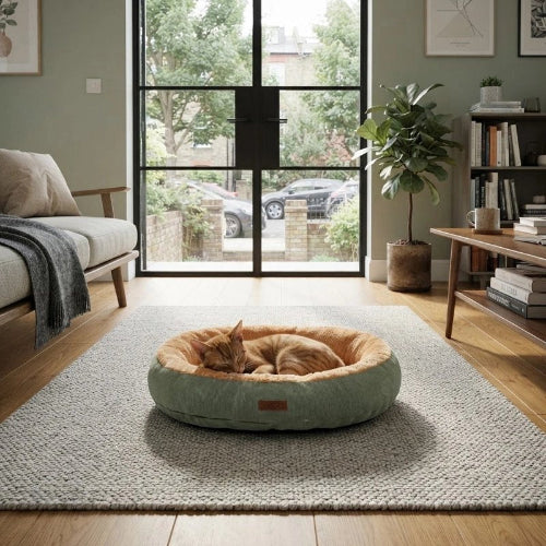 coussin à chat vert beige chat dormant salon