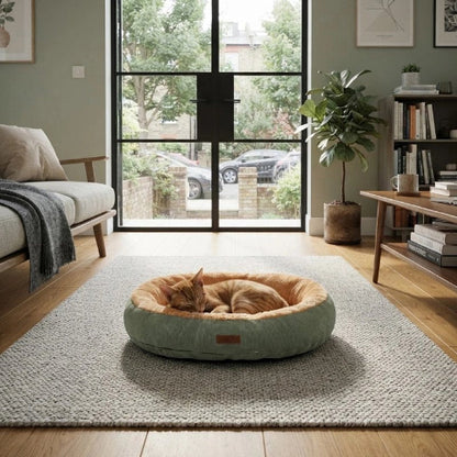 coussin à chat vert beige chat dormant salon