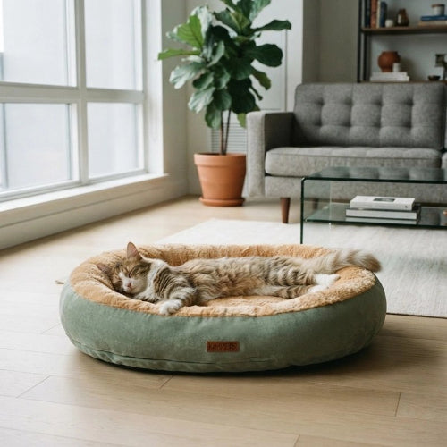 coussin à chat vert chat dormant salon