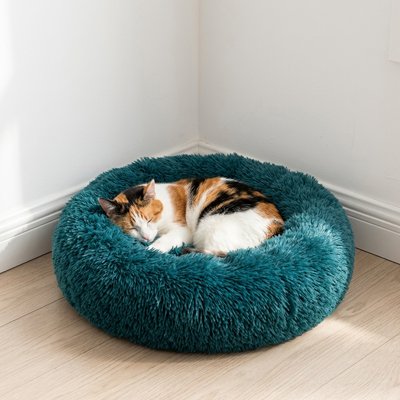 coussin chat super doux cyan chat dormant