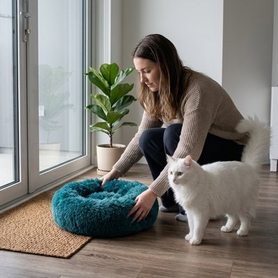 coussin chat super doux cyan maitresse chat debout salon