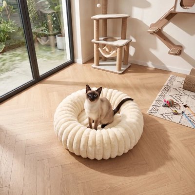 coussin pour chat beignet blanc chat assis chambre