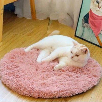 Coussin pour chat | Classique - Mon Adorable Félin
