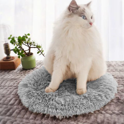 coussin-pour-chat-classique-gris