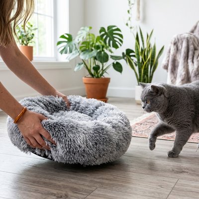 coussin pour chat cocooning gris maitresse chat debout salon