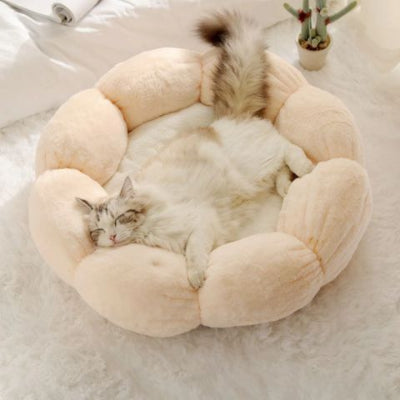 coussin-pour-chat-fleur-beige