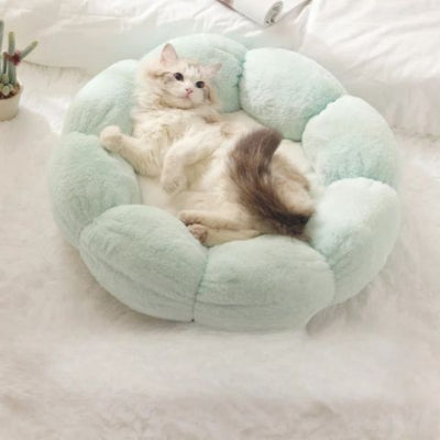 coussin-pour-chat-fleur-cyan