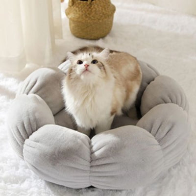 coussin-pour-chat-fleur-gris