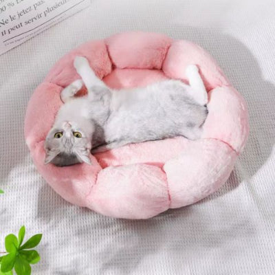 coussin-pour-chat-fleur-rose