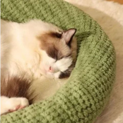 coussin-pour-chat-grenouille-apaisant