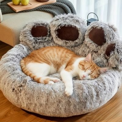 coussin pour chat gris patte geante chat dormant salon