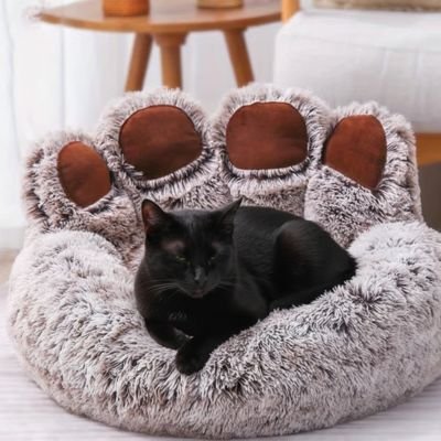 coussin pour chat marron patte geante chat allonge salon