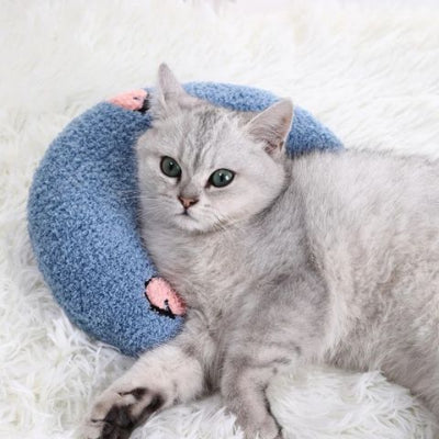 coussin-pour-chat-oreiller-bleu