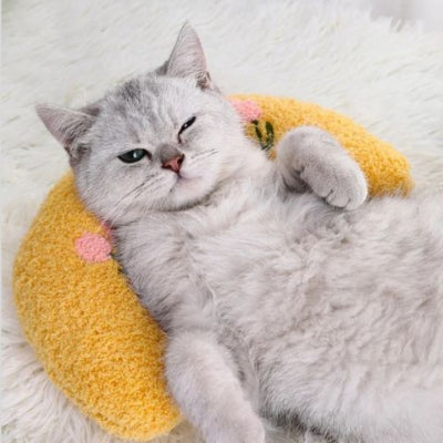 coussin-pour-chat-oreiller-jaune