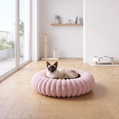 coussin pour chat rebord matelasse mauve chat allonge salon