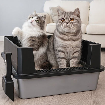 deux chat dans bac à litière chat xxxl noir