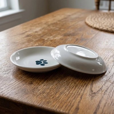 deux gamelles chaton decoration patte de chat sur table