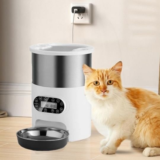 distributeur automatique croquettes chat un bol en inox avec chat
