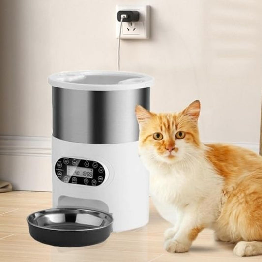 distributeur automatique croquettes chat un bol en inox avec chat
